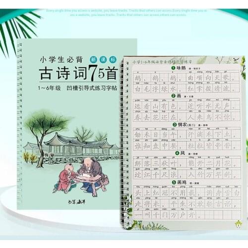 Students Chinese Character 3D Copybook Ancient Poetry Reusable Handwriting Beginner Learning Education Practice Chinese Quaderno