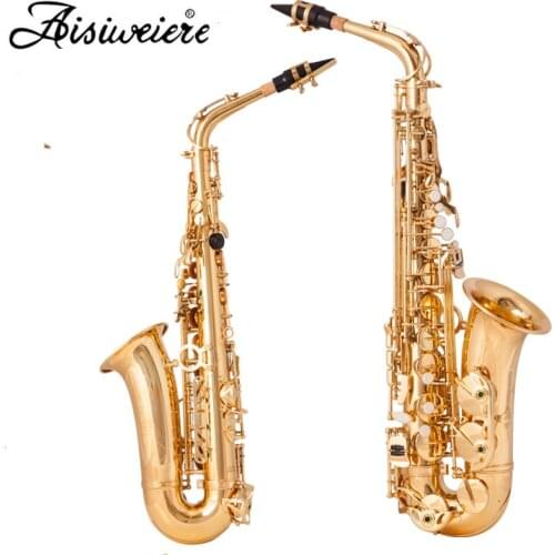 Alto Saxophone E Flat Brass Sax Beginners Kit, Mouthpiece, Neck Strap, Cleaning Cloth Rod, Gloves, Hard Carrying Case With Remov