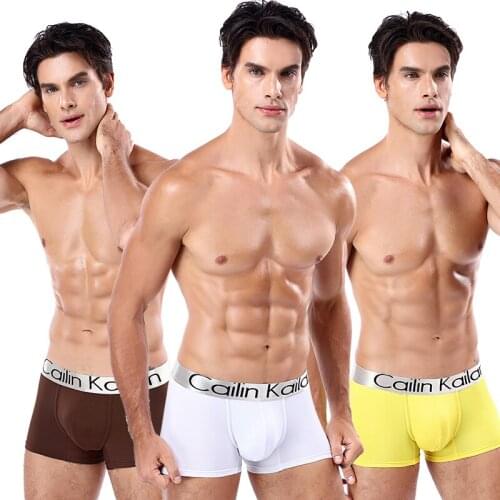 Sexy Men Boxer Underwear Mens Breathable Brief Underpants Cotton Comfortable Mens Soft Briefs Solid Shorts Cueca Male Panties