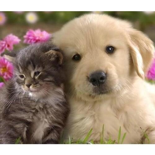 JMINE Div 5D Labrador Dog Cat Full Diamond Painting cross stitch kits art High Quality Animal 3D paint by diamonds