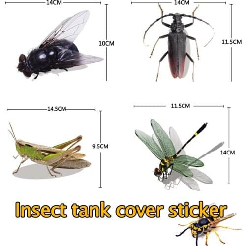 3D Car Sticker Fuel Tank Cover Paste Dragonfly Fly Wasp Cricket Grasshopper Simulation Color Painting Insect Creative