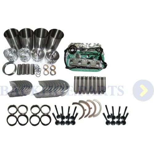Engine Overhaul Rebuild Kit for Landini Tractor ALPINE 65