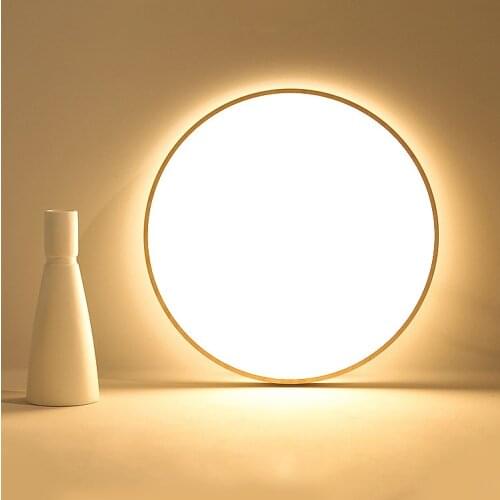 Nordic Ceiling lamp minimalist lustre bedroom led lights for room study cloakroom ceiling light decoration salon modern lighting