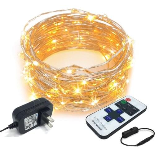 Viktorovna LED String Lights With Transparent Wire