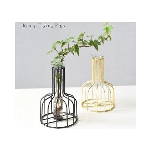 Direct new products ins wrought iron dried flowers transparent glass green radish creative hydroponic test tube living room vase