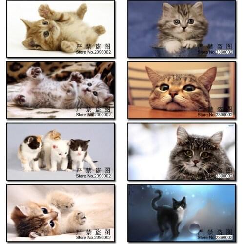 5D Diamond Embroidery Animal Diy Diamond Painting Cat Pictures Full Mosaic Needlework Diamond Picture Home Decor Canvas