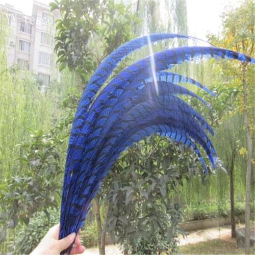 20pcs 32-36 inche/80-90cm Royal blue Lady Amherst Pheasant Feather pheasant feathers for carnival party costumes decoration