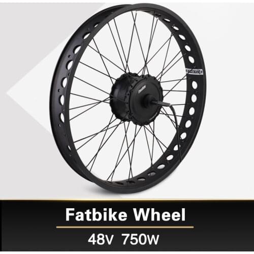 48V 750W Fat bike e-bike kit Electric bike conversion kit motor 20" 26" wheel MXUS brand for 175 mm 190mmFork