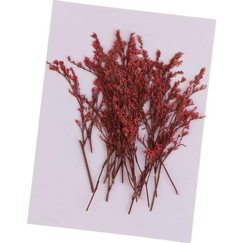 20 Piece Natural Dyed Red Limonium Real Pressed Dried Flowers for DIY Ornament Craft Candle Making Decoration 7-10cm