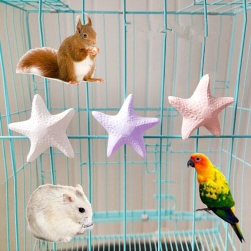 Fruit / Star Pet Molar Stick Chinchilla Squirrel Molars Parrot Grindstone Bird Toy Molar Stone Toys Parakeet Cockatiel Budgie