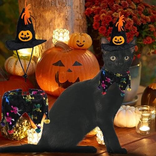 Stylish Pet Cat Witch Hat Bandana Cosplay Prop Halloween Bat Fancy Dress Costume Outfit Wings Cat Costumes Photo Props Headwear