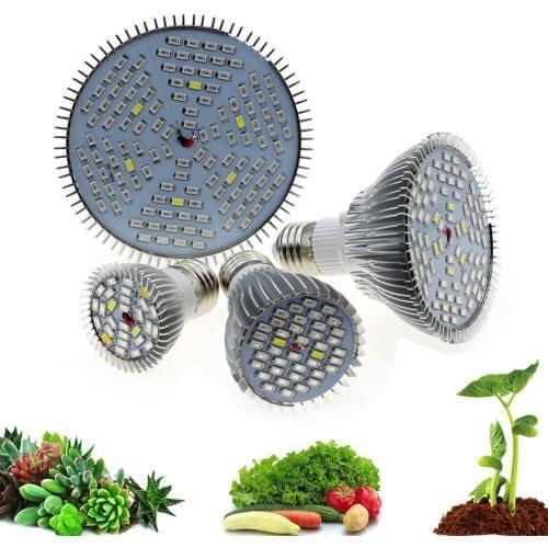 Full Spectrum Led Grow Light E27 6W 10W 30W 50W 100W Red Blue UV IR Led Growing Lamp For Hydroponics Flowers Plants Vegetables