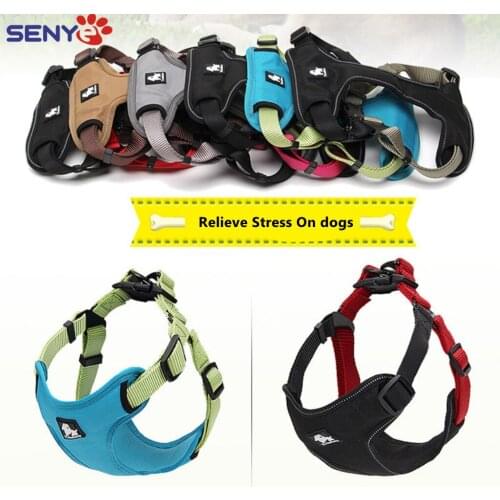 Pet Dog Chest Strap For Walking Dogs Can Lead Medium And Large Dogs Dog Accessories Breathable Mesh Dog Harness and Leash Pet