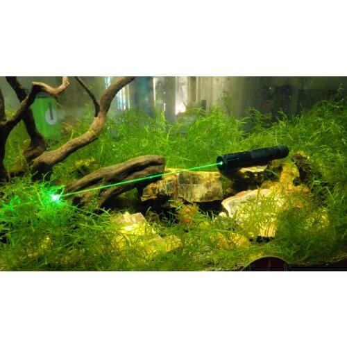 520nm 120mW pure green laser waterproof Laser torch/focusable