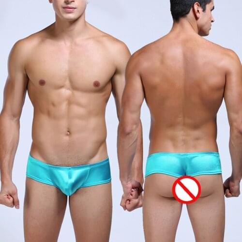 Mens Boxer Shorts Soft Boxers Men Plus Size underwear Breathable Lce Silk Underpants Sexy Gay Penis Pouch Shorts 2pcs/lot