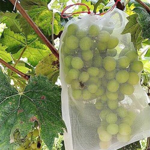 20pcs Nylon Fruits Plant Nursery Bags Plant Grow Bags Drawstring Seedling Pots Planting Bags For Grapes Garden Protection Grape
