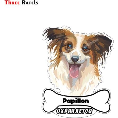 Three Ratels B540 Sticker On A Car Wicket Gate Attention Is A Dog In The Yard Stickers For Passat B5 Auto Waterproof Decals