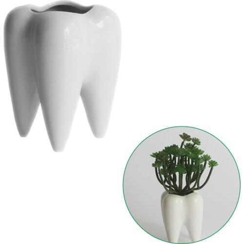 White Ceramic Fleshy Small Flowerpot Tooth Shape Table Plant Pot Home Decoration Tooth-Shaped Desktop Ceramic Flower Pot