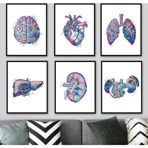 Anatomy Human Organs Brain Heart Liver Wall Art Canvas Painting Nordic Posters And Prints Wall Pictures For Living Room Decor