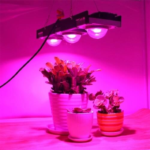 COB LED Grow Light Full Spectrum 100W 200W 300W LED Plant Grow Lamp For Indoor Plants Flowers Greenhouses Hydroponics Grow Tent
