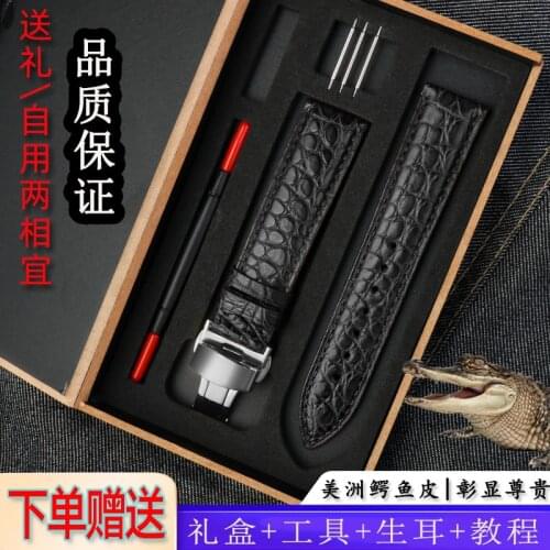 Crocodile Leather Watch Strap Mens Genuine Leather for Rolex Rossini Seiko EBOHR Timex DW Watch Band 20 | 22mm 22mm