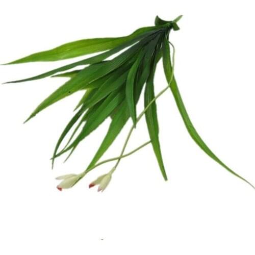 Five piece Artificial Green Orchid Flower Plant Simulation Grass Orchid Leaf Home Decoration