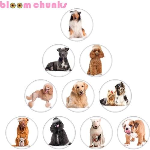 Dog 10pcs mixed 12mm/18mm/20mm/25mm Round photo glass cabochon demo flat back Making findings S1682