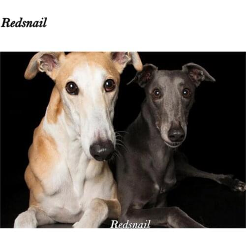 Diy Photo Custom Diamond Embroidery,5d Diamond Painting,Cross Stitch,3D,Diamond Mosaic,greyhound dog diamond picture decor EE507