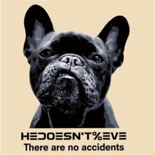 Fashion animal Patch DIY Clothes bulldog 3d stickers Thermal Transfer Printing Iron on patches for clothing T shirt women