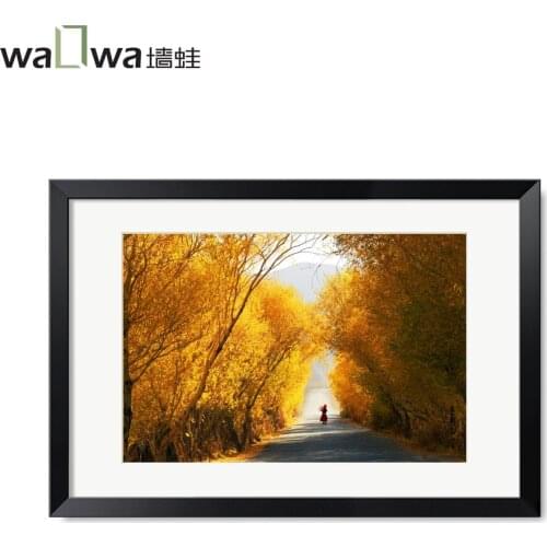 Wall frog Li Ziqing photography mural paintings in Salix framed painting of modern living room decorative painting study