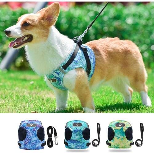Miflame Cartoon Dog Harness Small Dogs Vetst+Leash Set Spitz Pomeranian Accessories Mesh Puppy Lead Leash Adjustable Pet Harness