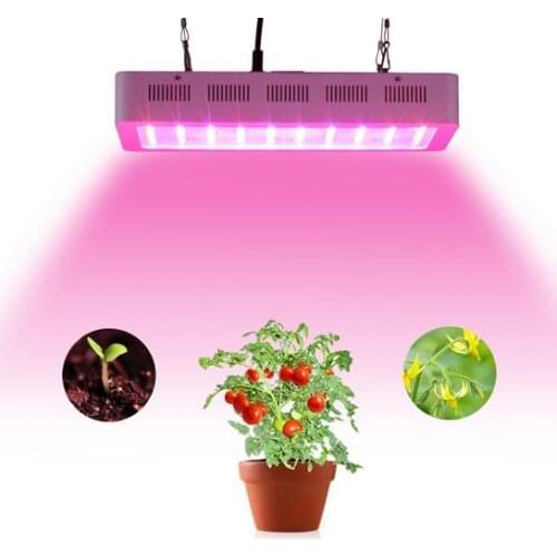 LED Plant Lamps Bing Vision China