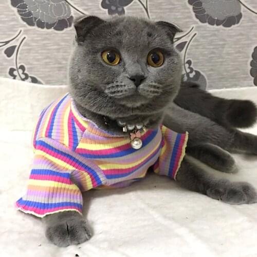 Colorful Pet Cat Vest Shirt for Small Cats Mascotas Clothing Spring Puppy Cat Clothes Stripe ropa para gatos katten kleding