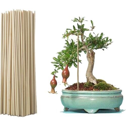 50Pcs/Set Bamboo Plant Sticks Wooden Plant Grow Support For Flower Stick Stands Agriculture Garden Bonsai Tool Canes Rod TW042