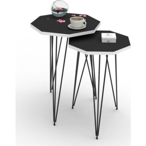 Modern Larose Zigon Coffee Table Gisella Gray 2 Li (45*30*30-40*25*25) octagonal coffe table