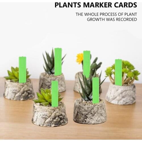 20pcs Plastic Plant Label Garden Nursery Markers Flower Pot Seedling Labels Tag Sign 10x2cm Gardening Accessories