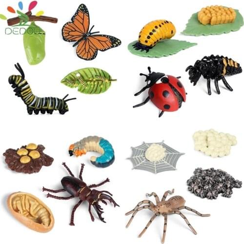 Newest Simulation Animals Growth Cycle Model Bee Spider Butterfly Action Figures Figurine Cute Kids Baby Toy Figures Educational