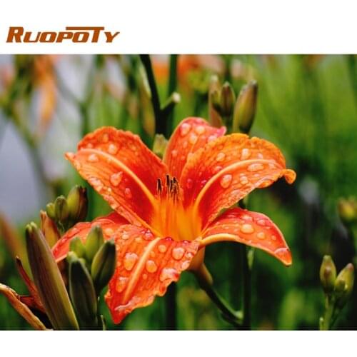 RUOPOTY Acrylic Frame Diy Painting By Numbers Kits Flowers Picture Wall Art Handpainted Oil Painting For Home Decors Artwork