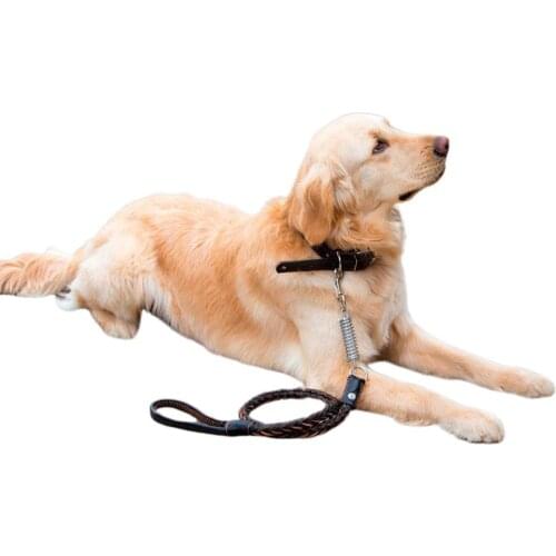 Украшения для животных AsyPets China At AliExpress