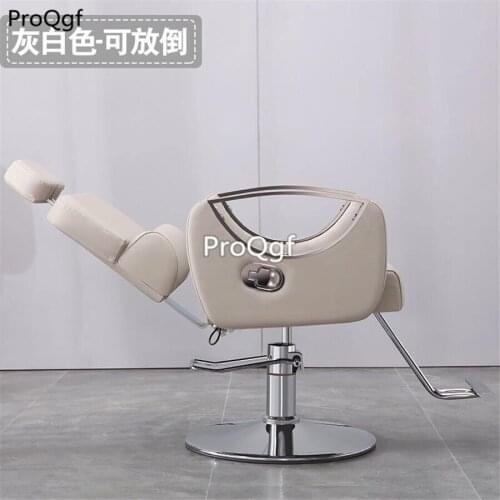 Prodgf 1 Set Ins Special Design Salon Chair