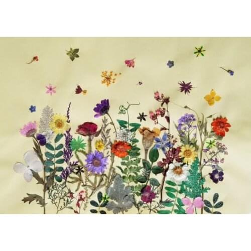 12Pc Real Pressed Flower Dried Rock Fern Leaves Scrapbook Phone Cover Crafts