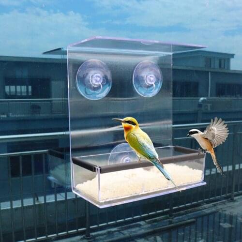 Bird Bowl Hummingbird Feeder Bird Feeders for Wild Birds Pet Food Feeder Bird Feeder Easy To Clean for Indoor Outdoor Use