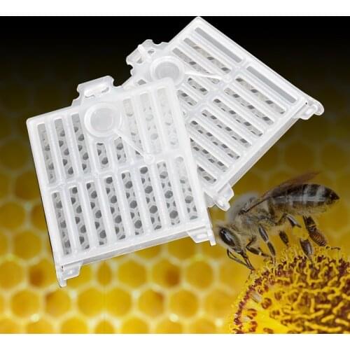 New Design Bee Farm Queen Bee Post Cage Transparent Box with Comb Fundation Sheet Queen Rearing Tool Beekeeping Supplies
