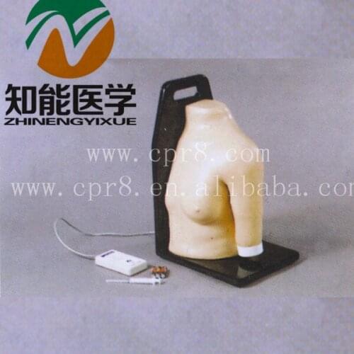 BIX-CK20133 Shoulder Joints Intracavity Injection Training Model MQ72
