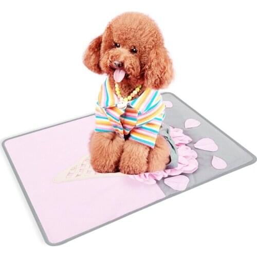 Pet Dog Snuffle Mat Nose Smell Training Blanket Sniffing Pad Slow Feeding Bowl