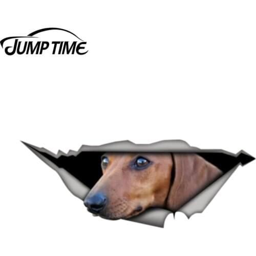 Jump Time 13cm x 4.8cm STICKER Tan dachshund 3D Pet Graphic Vinyl Decal Car Window Laptop Bumper Bird Car Stickers