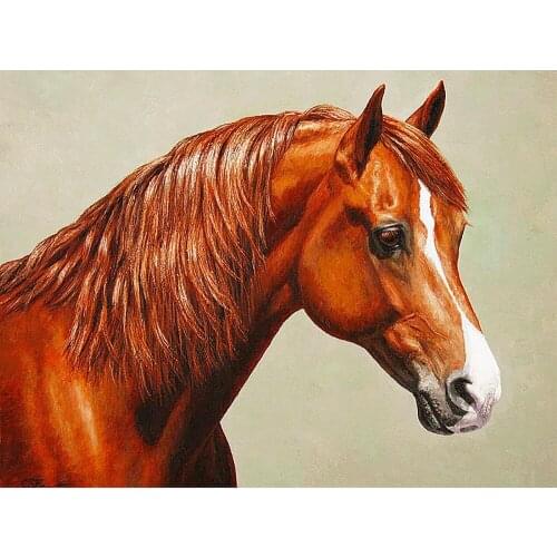 Full DIY Diamond Painting kit A reddish brown horse Cross Stitch Diamond Embroidery Patterns rhinestones Mosaic home decor