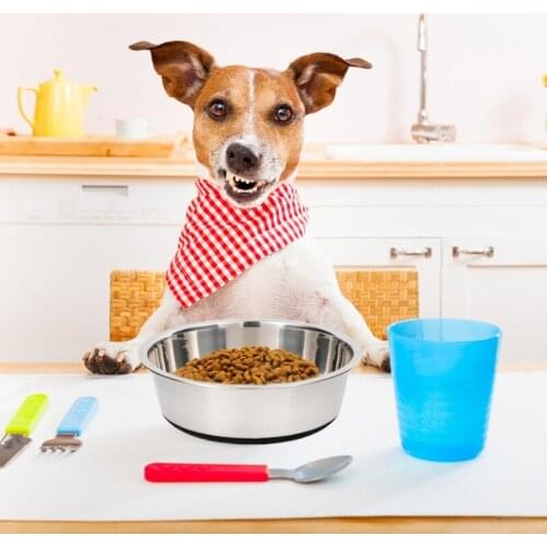 Dog Stainless Steel Bowl For Dish Water Dog Food Bowl Pet Puppy Cat Bowl Cat Shape Feeder Feeding Dog Water Bowl For Dogs Cats