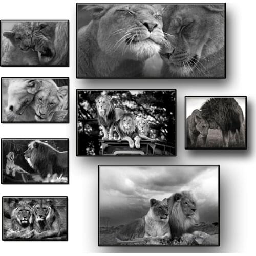 African Wild Lion Poster Black and White Animal Canvas Painting On The Wall Living Room Home Decor Art Picture for Interior