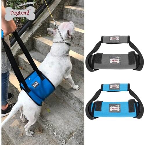 Black/Blue Pet Lift Support Harness Old Dog Helpful Assists Straps With Handle For Injured Hind Legs Dogs S/M/L/XL